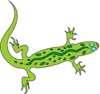 Gecko Clipart Png