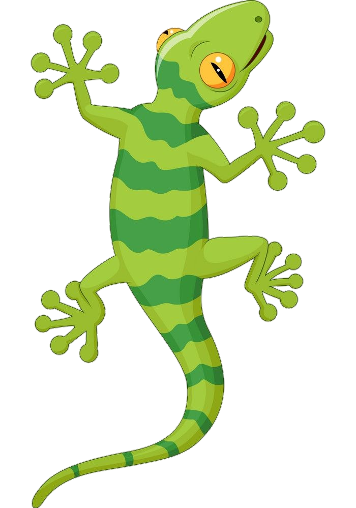 Gecko-19
