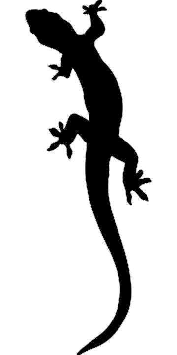 Gecko Silhouette Png