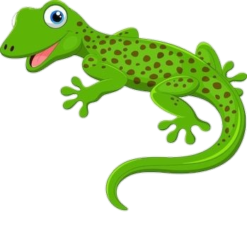 Gecko PNG Transparent Images Free Download - Pngfre