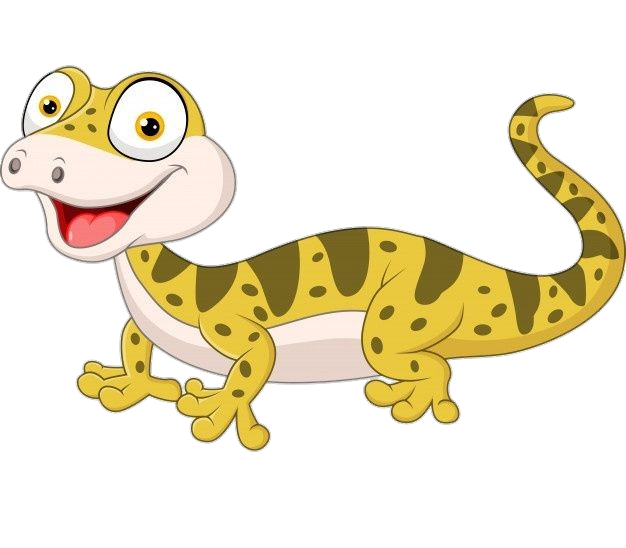 Gecko-24