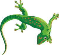 Gecko Png Image