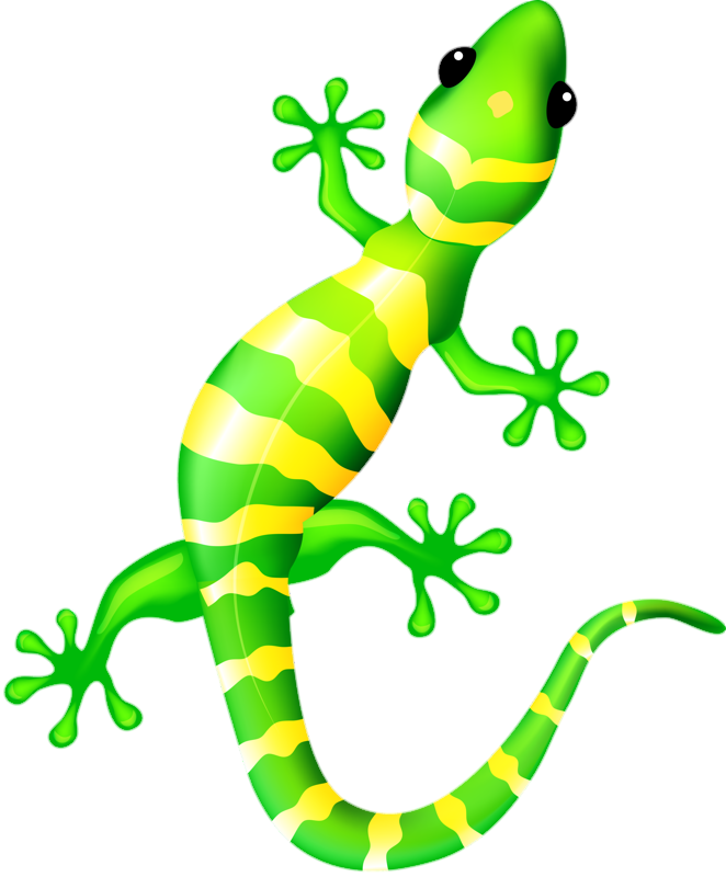 Gecko-4