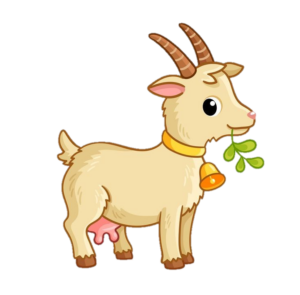 Goat-11