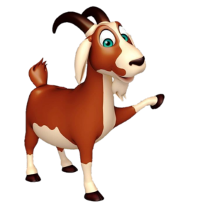Goat-12