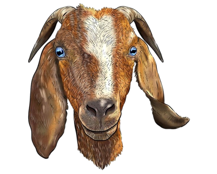 Goat Face Artwork Png