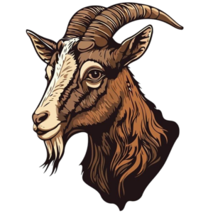 Goat-14