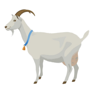 Goat-16
