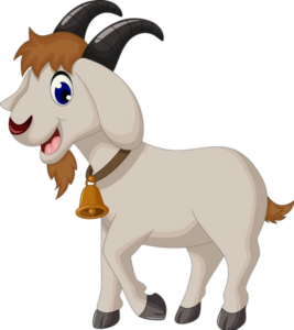 Goat-18