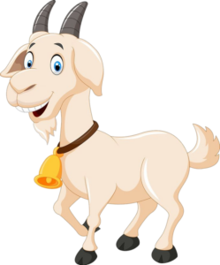 Goat-19