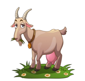 Goat-20