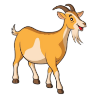 Goat Png