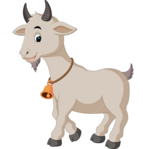 Goat-25