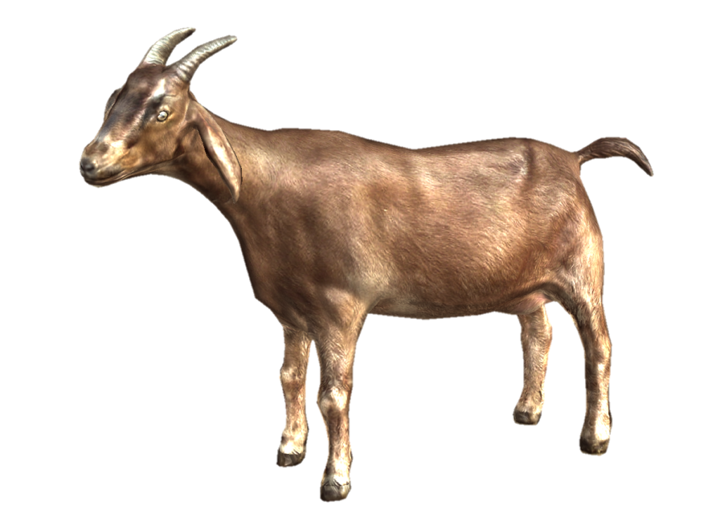 Animated Goat Png