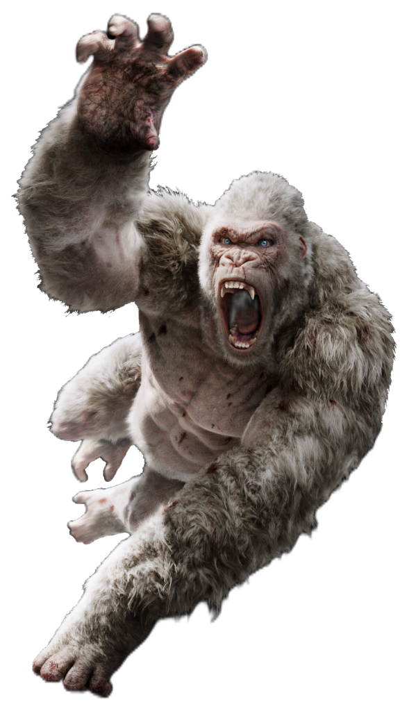 Angry Gorilla PNG
