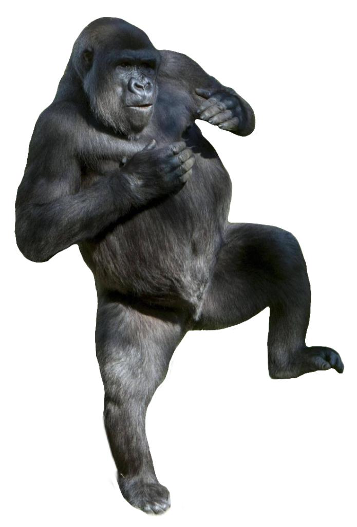 Standing Gorilla PNG