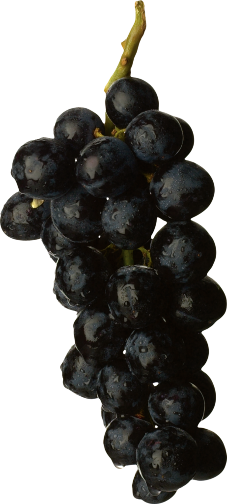 Black Grape Png