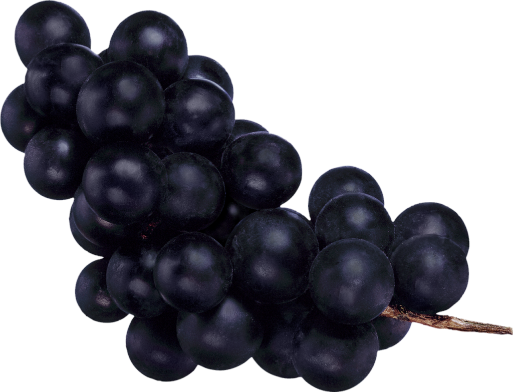 Black Grape Png