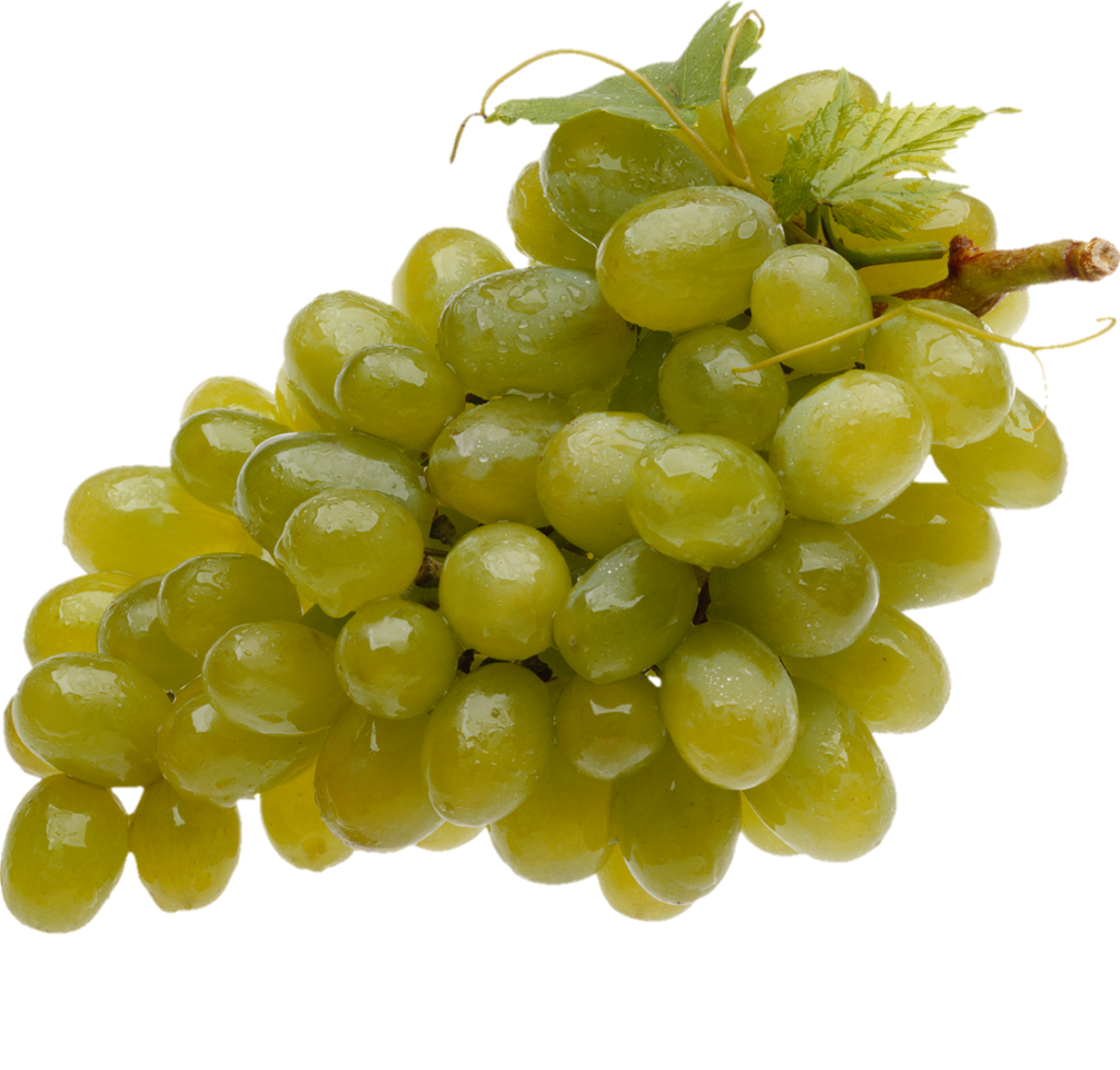 Fresh Grape Png