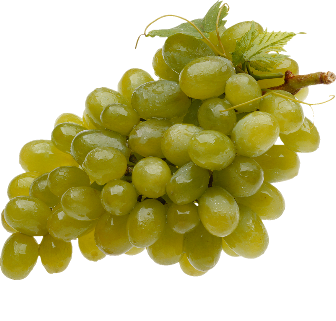 Grape-12