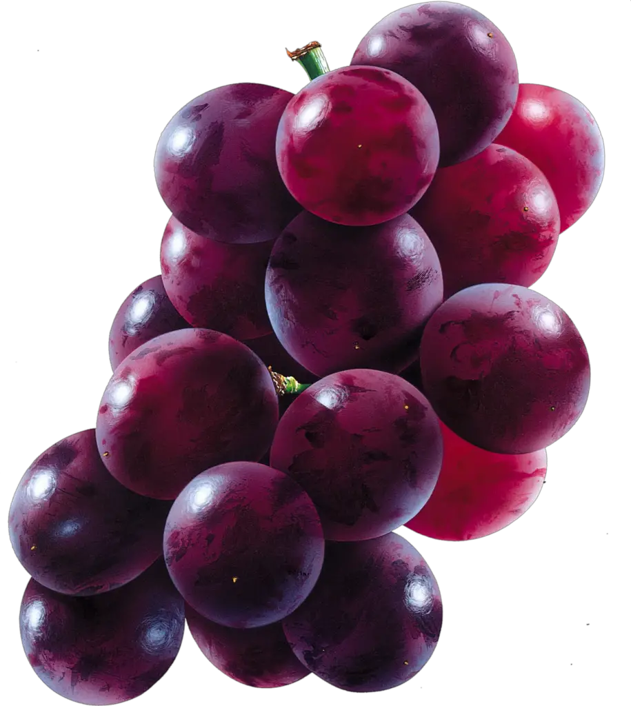 Aesthetic Grape Png