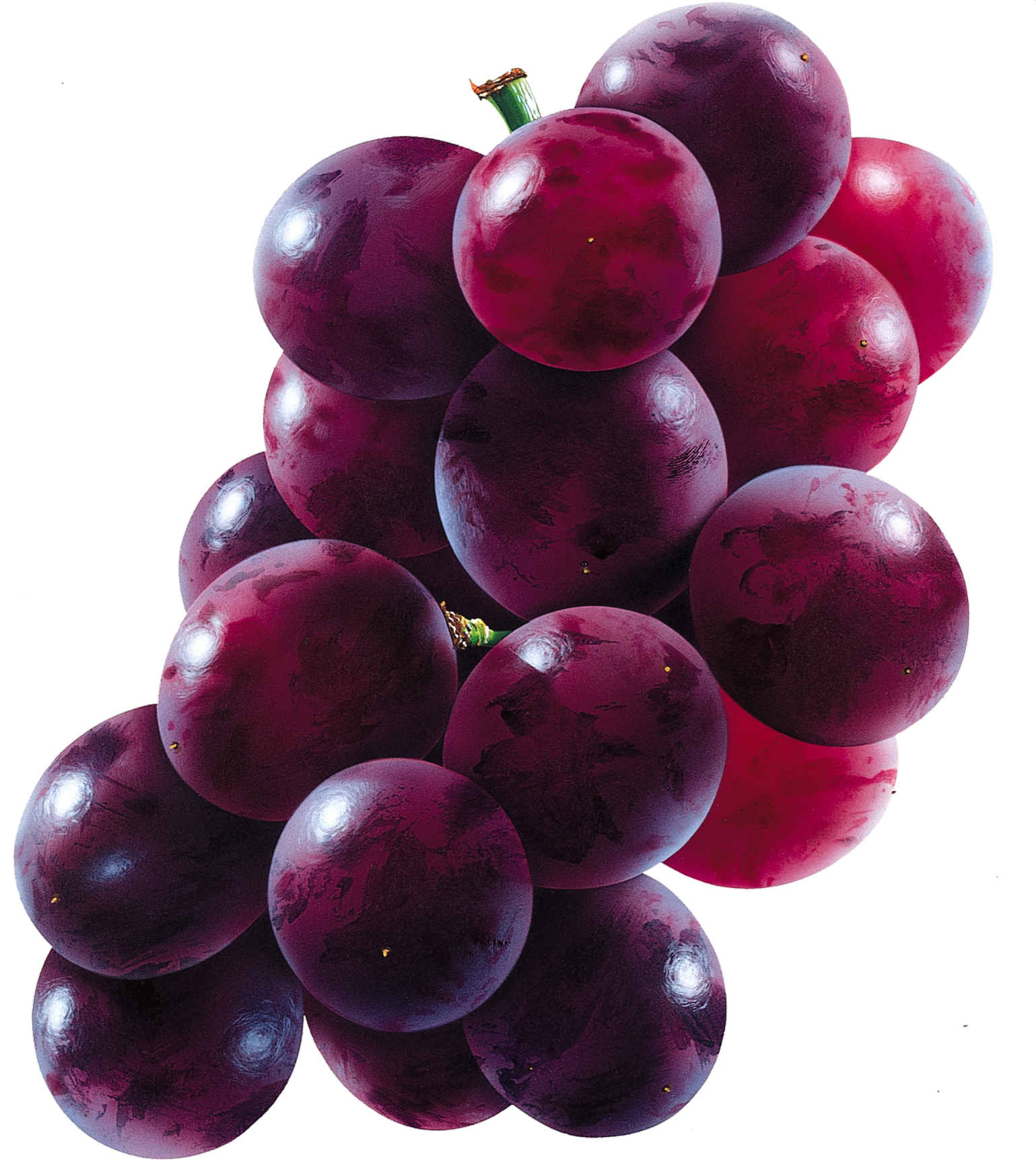 Grape-14