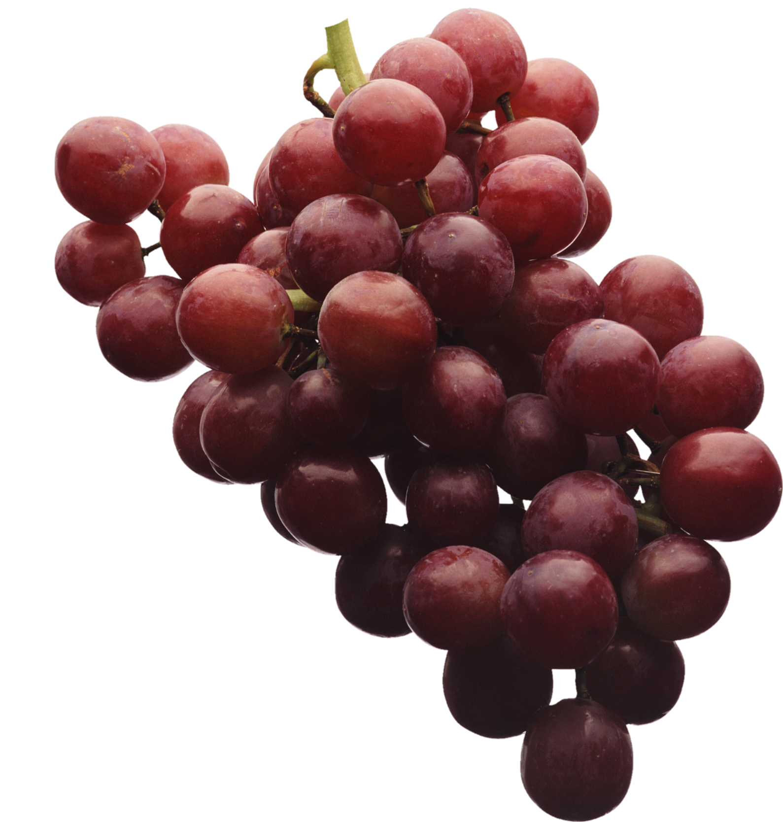 Grape-16