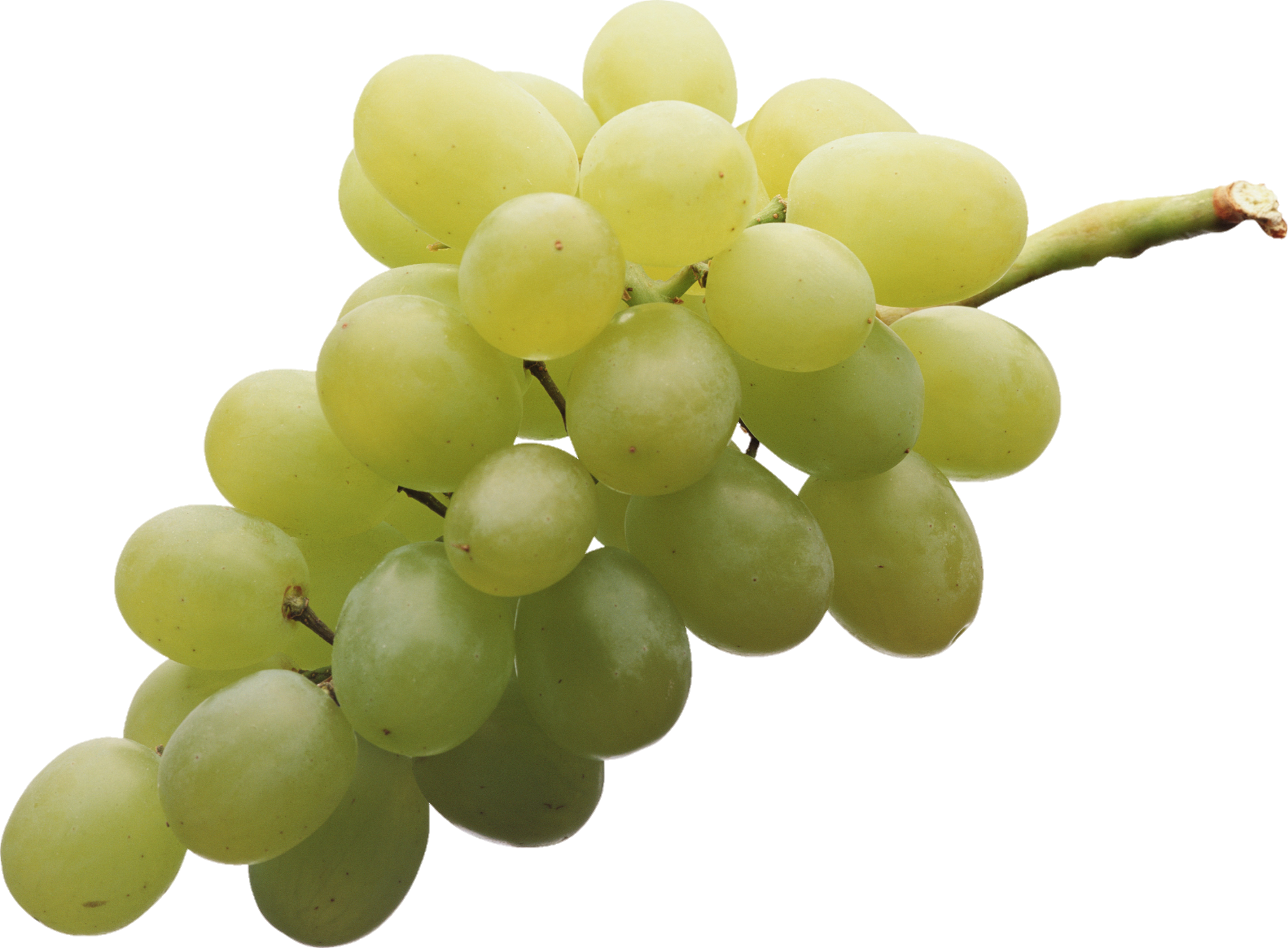 Grape-17