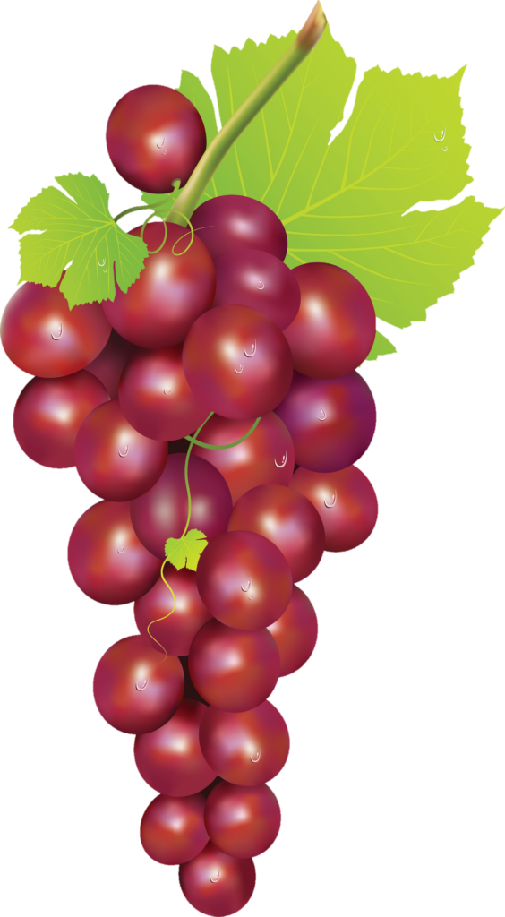 Grape Illustration Png