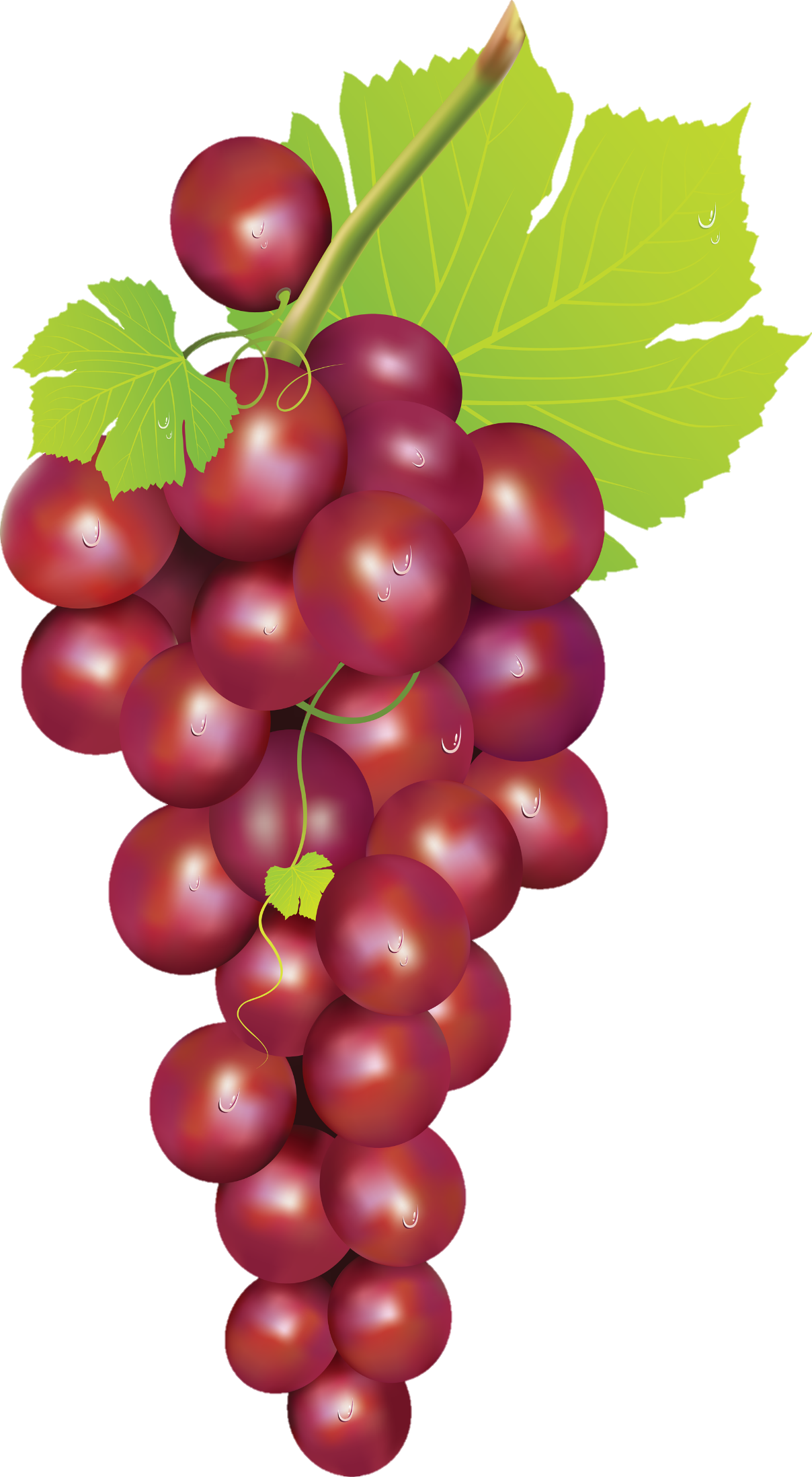 Grape-18-1