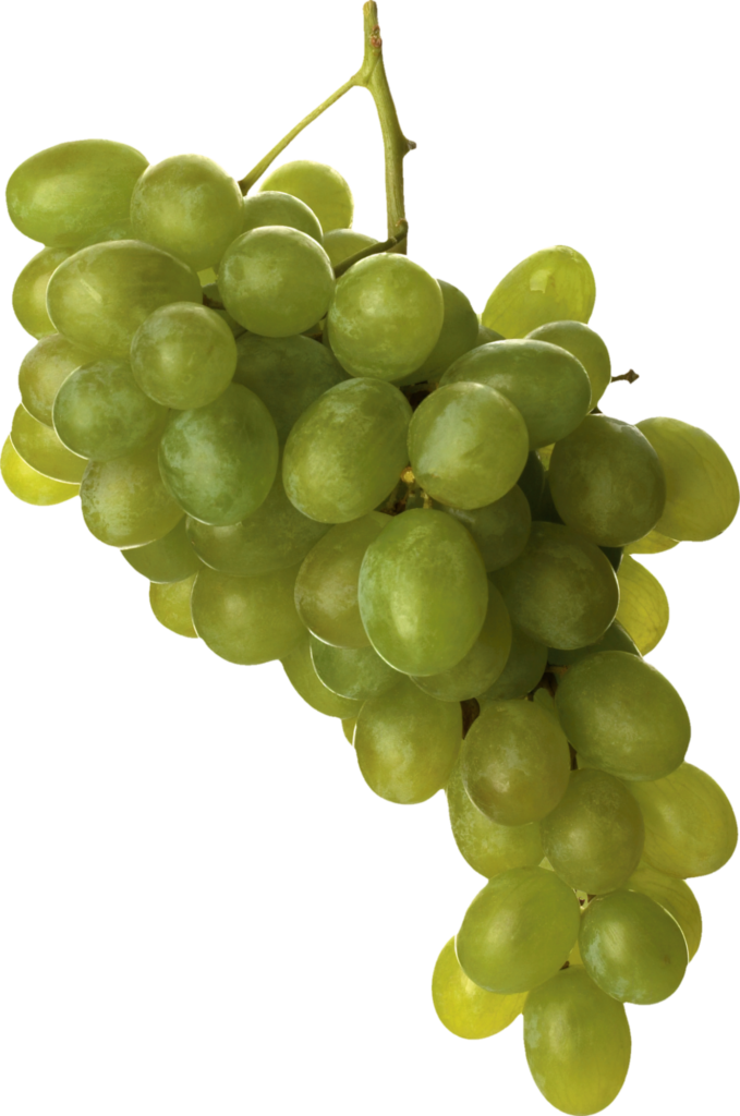Green Grape Png