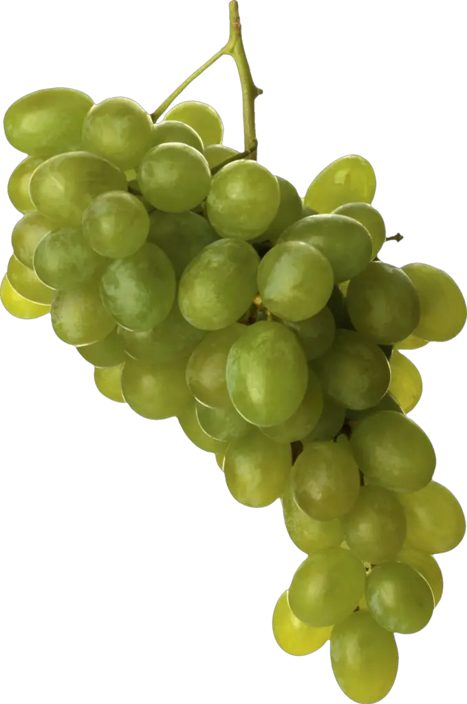 Green Grape Png