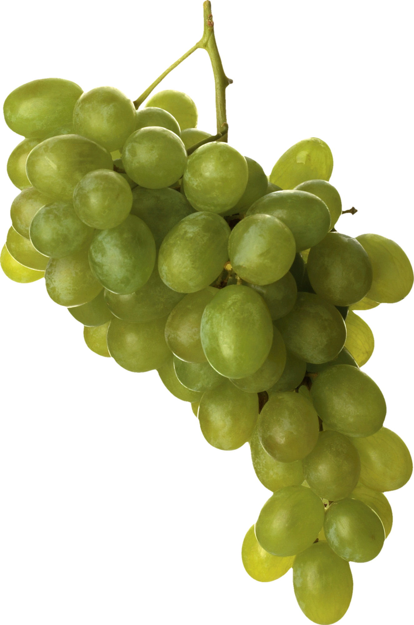 Grape-2