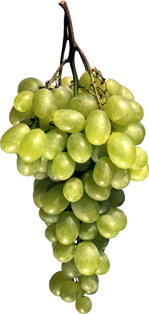 Transparent Grape Png
