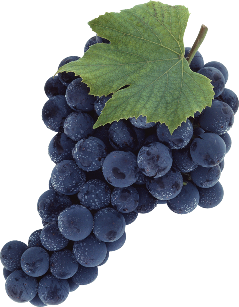 Wine Grape Png