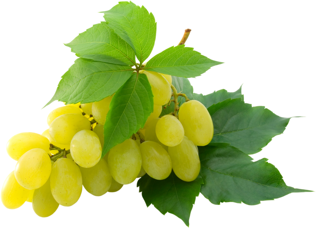 Grape Fruit Png