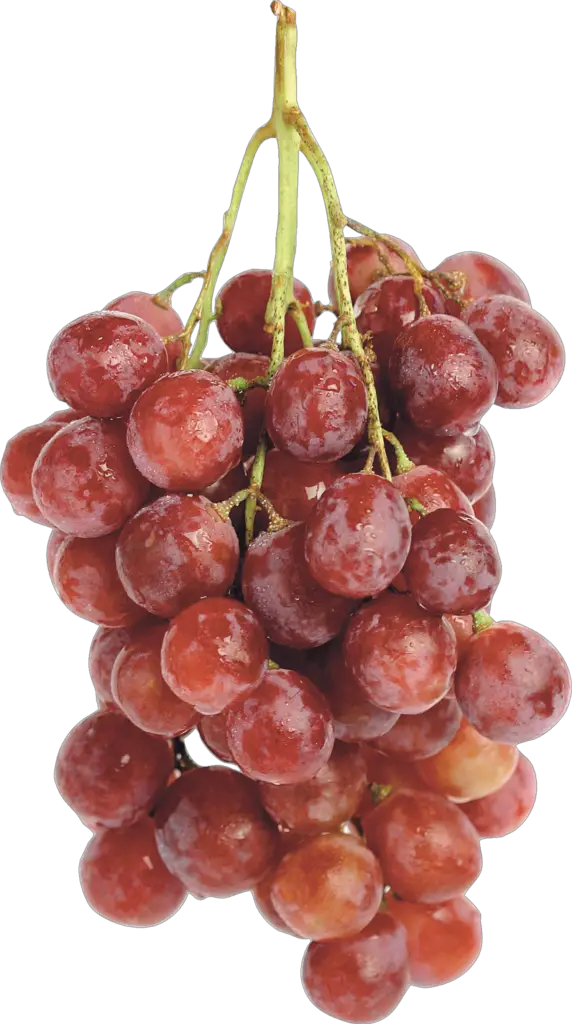 Red globe Grape Png