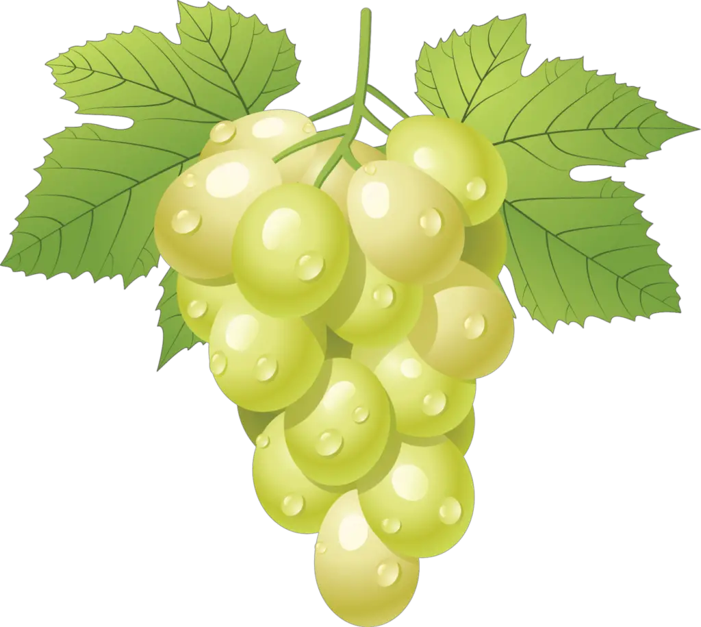 Grape Clipart Png