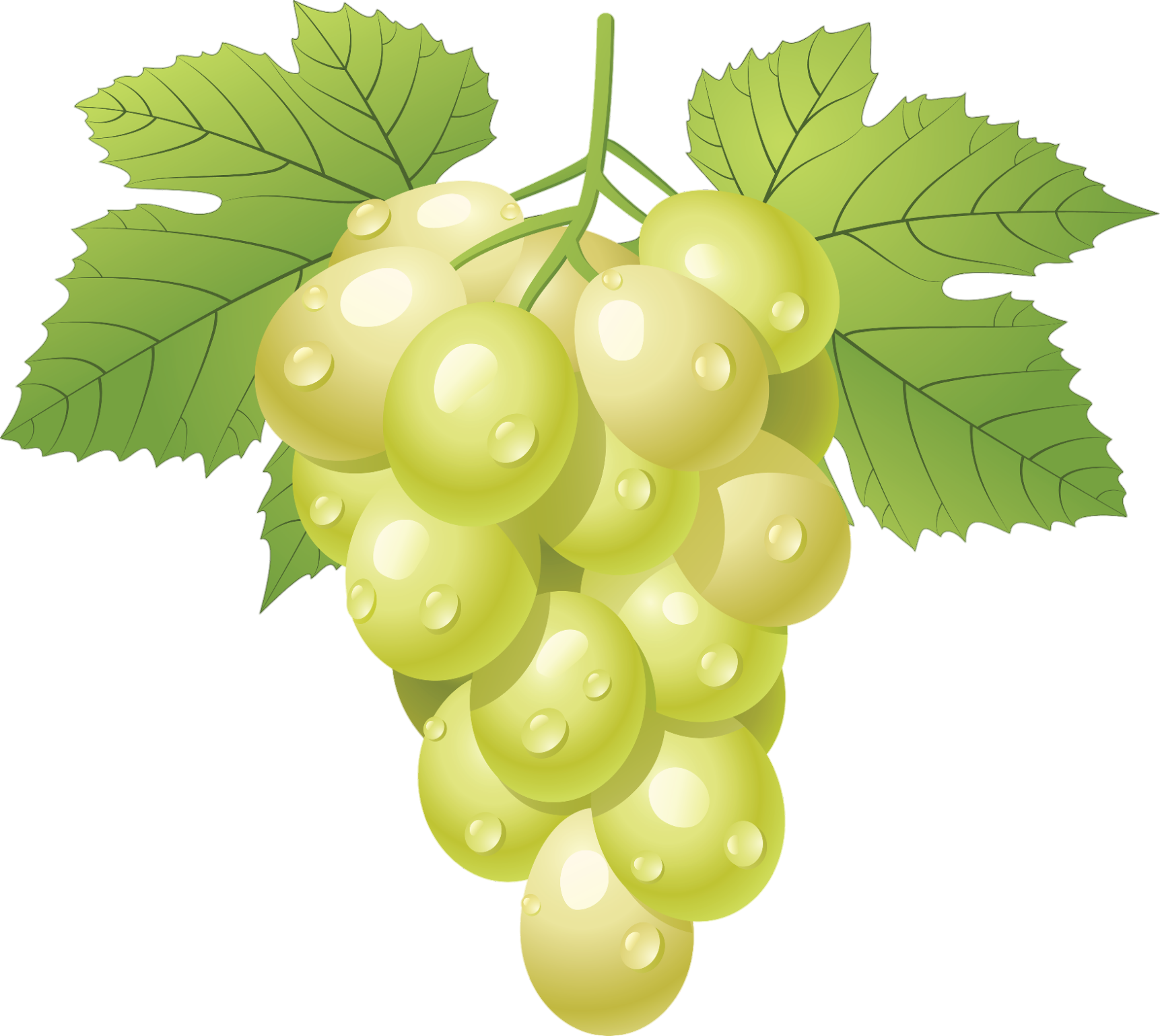 Grape-3