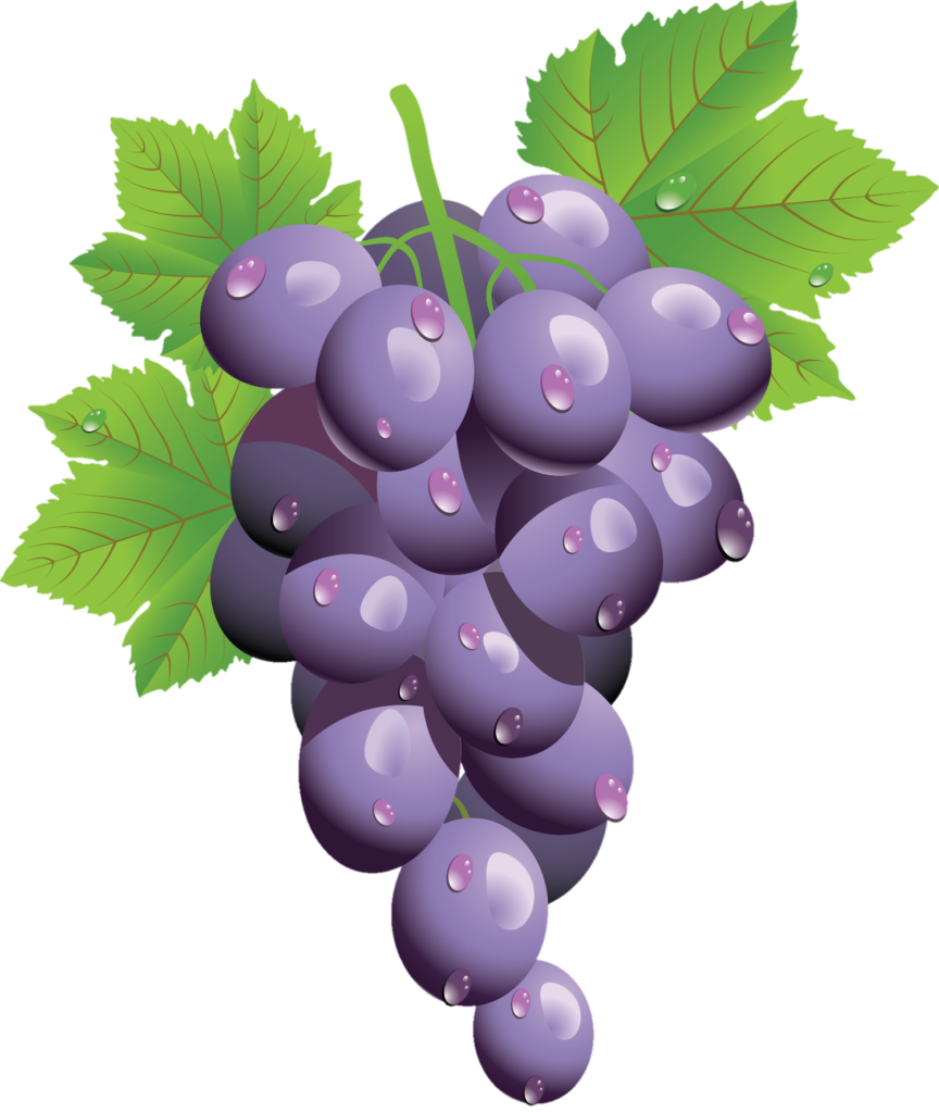 Grape Illustration Png