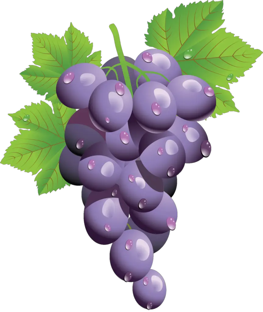 purple grape png