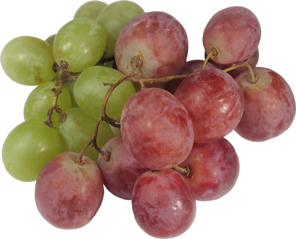 Grape fruit Png