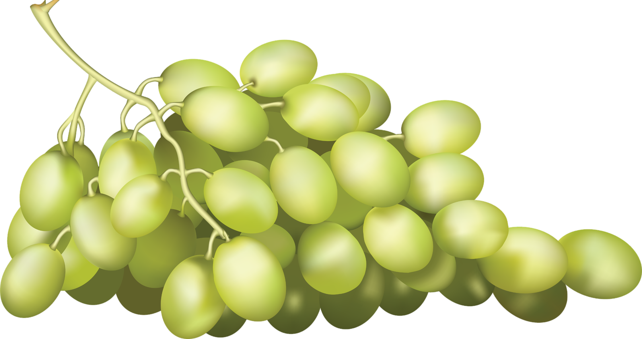 Grape-8