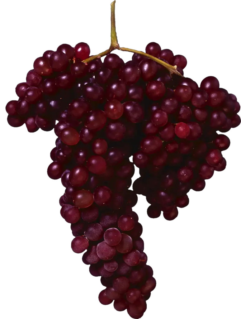 Red Grape Png