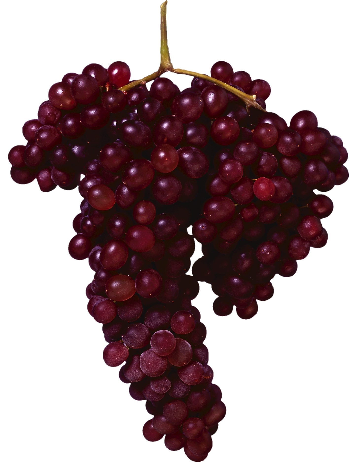 Grape-9