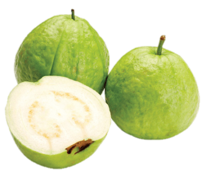 Transparent Guava Png
