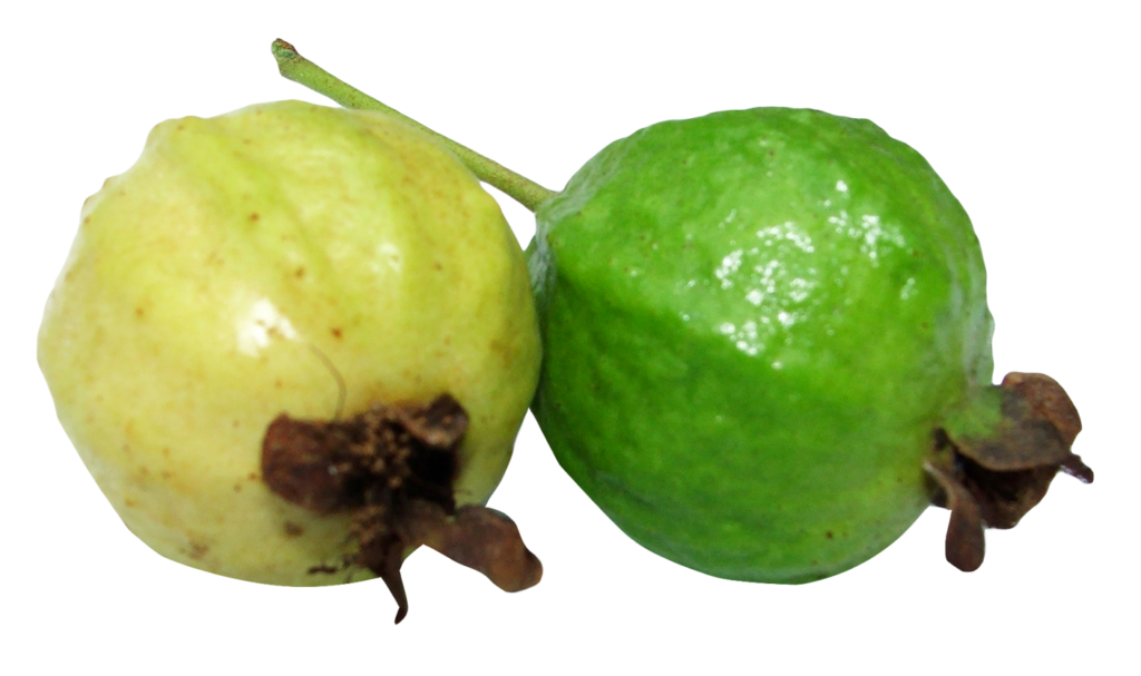 Transparent Guava Png