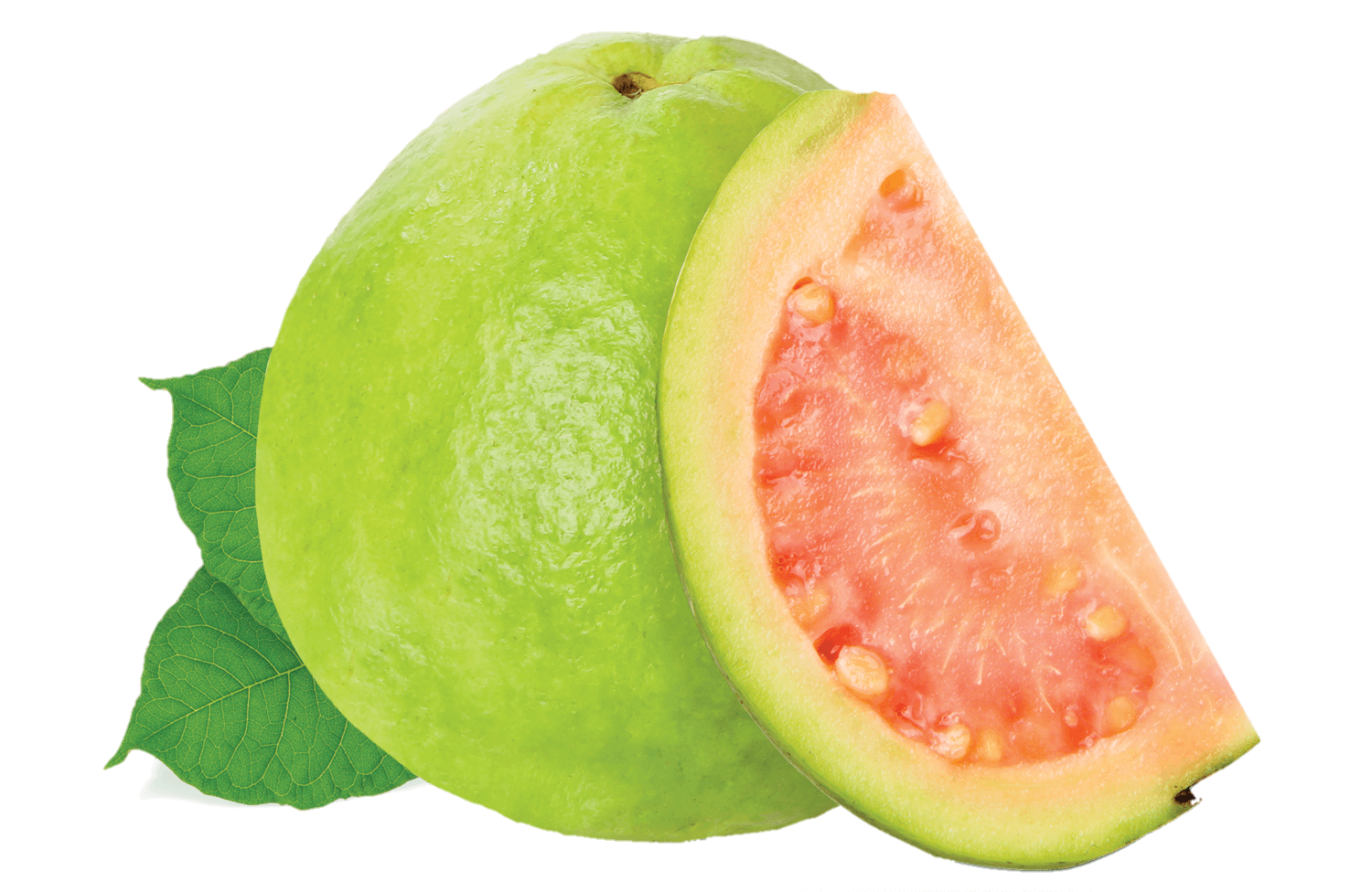 Guava-11
