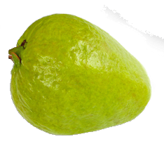 Small Guava Png