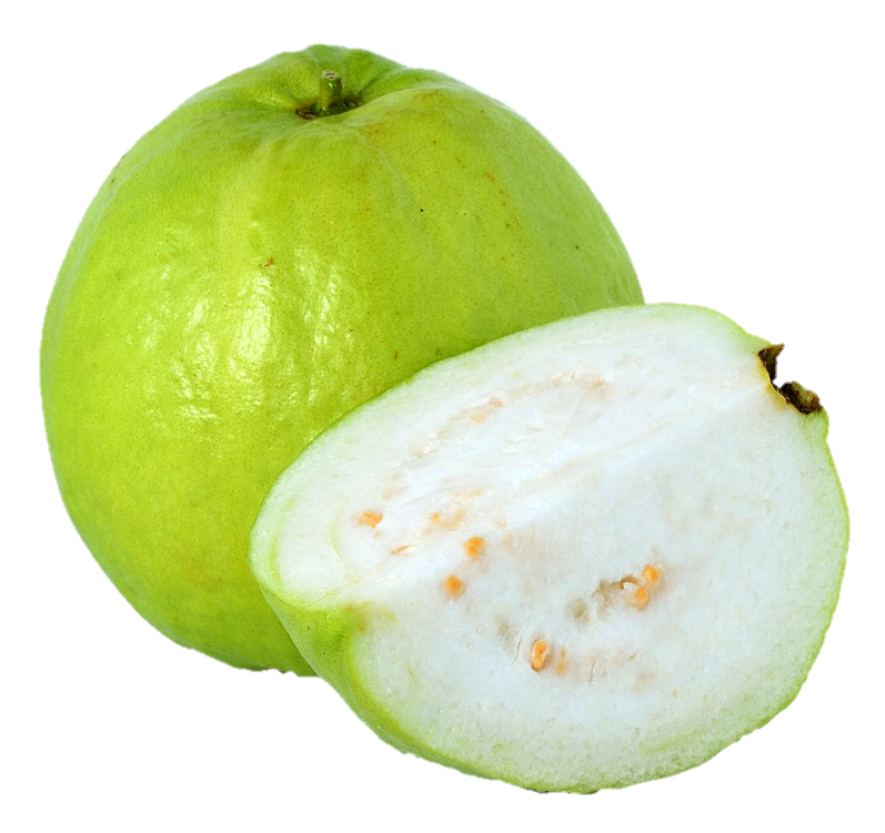 Guava-14